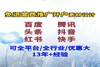 某电商平台的SEM优化托管实践与效果评估